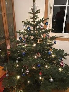 Weihnachtsbaum im Wohnzimmer: spät im Januar oft ein nadelndes Vergnügen. - Foto: gik