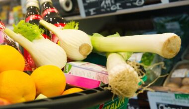 Bayern: Grüne fordern null Prozent Mehrwertsteuer für Bio-Essen