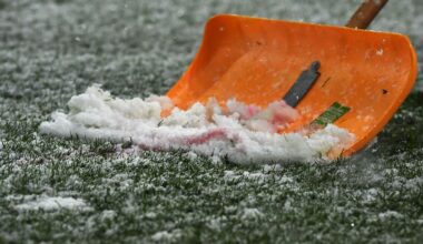 Hamburg & Schleswig-Holstein: Amateur-Fußball in Hamburg: Generalabsage aller Feldspiele