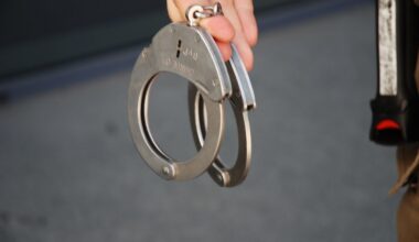 +++ Zivilstreife nahm mutmaßlichen Drogendealer fest +++ – fränkischer.de