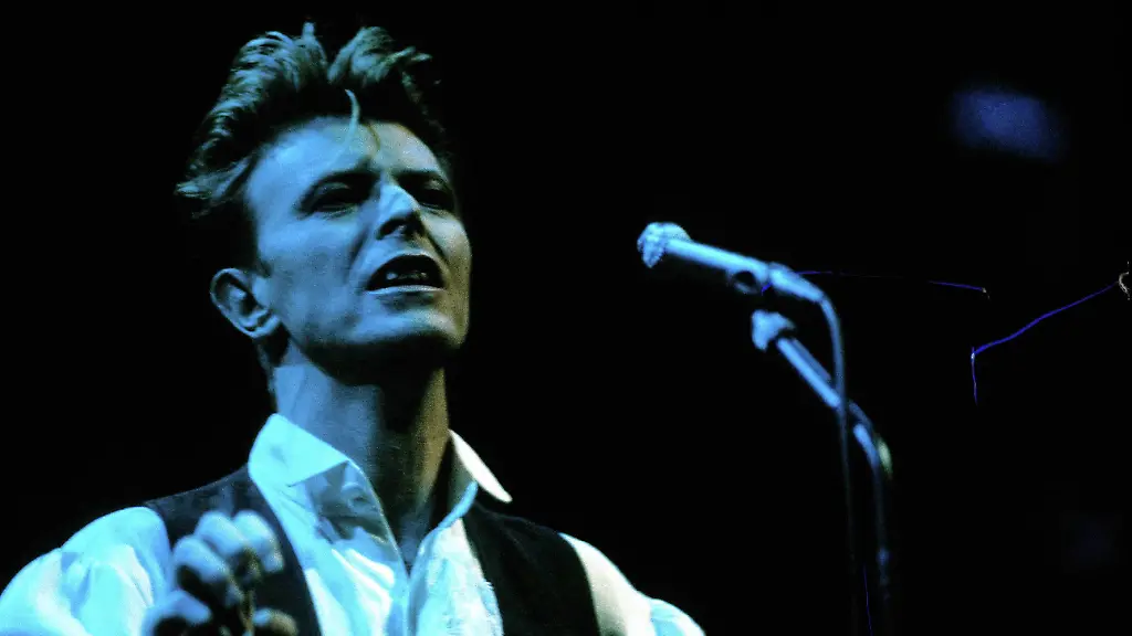 David-Bowie-live-in-Hamburg-Foto-xI