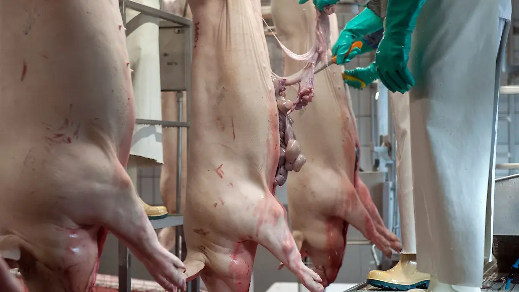 Der-Bund-plant-Videoueberwachung-in-Schlachthoefen-in-Niedersachsen-gibt-es-dazu-grundsaetzlich-Zustimmung-jedoch-mit-Einschraenkungen