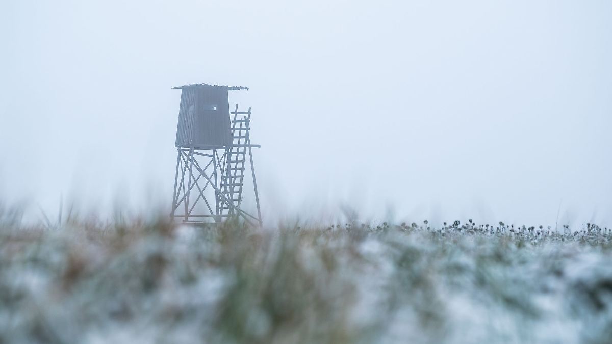 Niedersachsen & Bremen: Jäger schießt auf Spaziergängerin