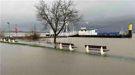 Der Lühe-Anleger im Alten Land war am Neujahrstag überflutet und lockte Schaulustige an.