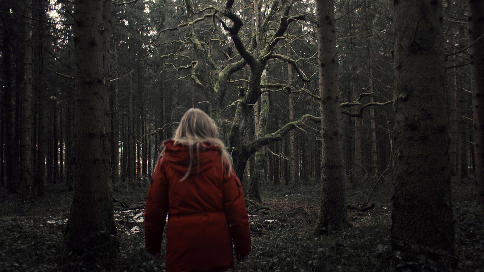 Der Pass – Staffel 1