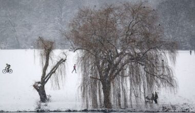 Hamburg & Schleswig-Holstein: Schwanenwesen nutzt Winterwetter für Übungen im Eis