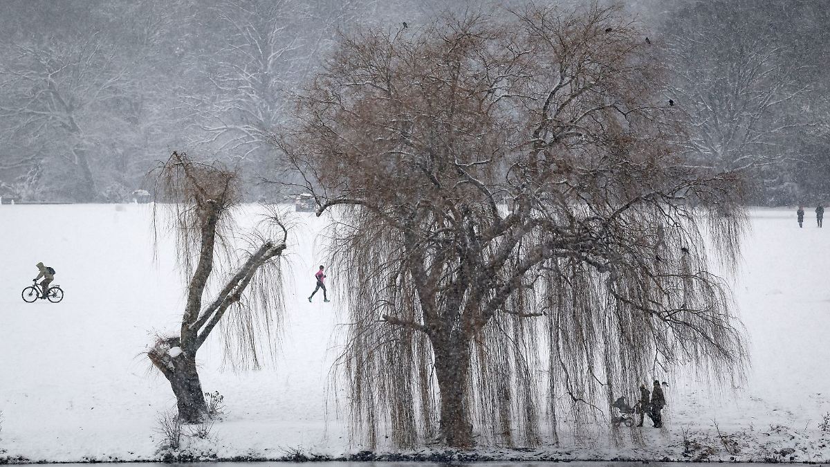 Hamburg & Schleswig-Holstein: Schwanenwesen nutzt Winterwetter für Übungen im Eis