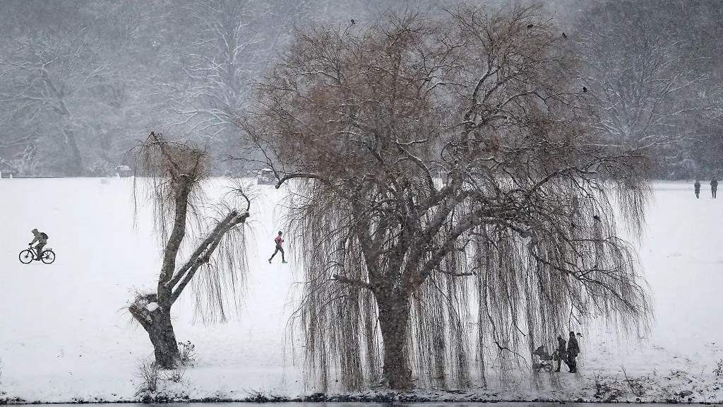 Der-Stadtparksee-ist-fast-zugefroren-aber-laengst-nicht-tragfaehig-Das-Schwanenwesen-hat-das-fuer-Uebungen-zur-Eisrettung-genutzt