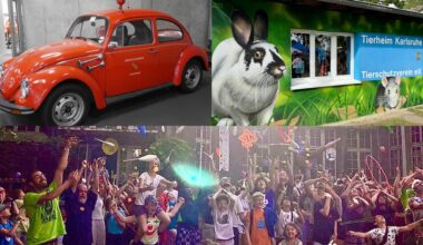 Feuerwehr, Tierheim & Stadtjugendausschuss: Große Jubiläen 2026 in Karlsruhe