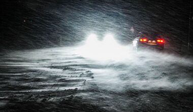 Niedersachsen & Bremen: Sturmtief "Elli" legt Niedersachsen lahm – Dutzende Unfälle