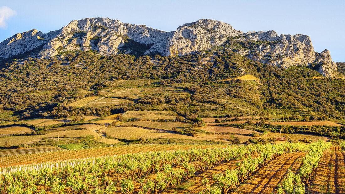 Im Fenouillèdes bei Maury. Foto: Hilke Maunder
