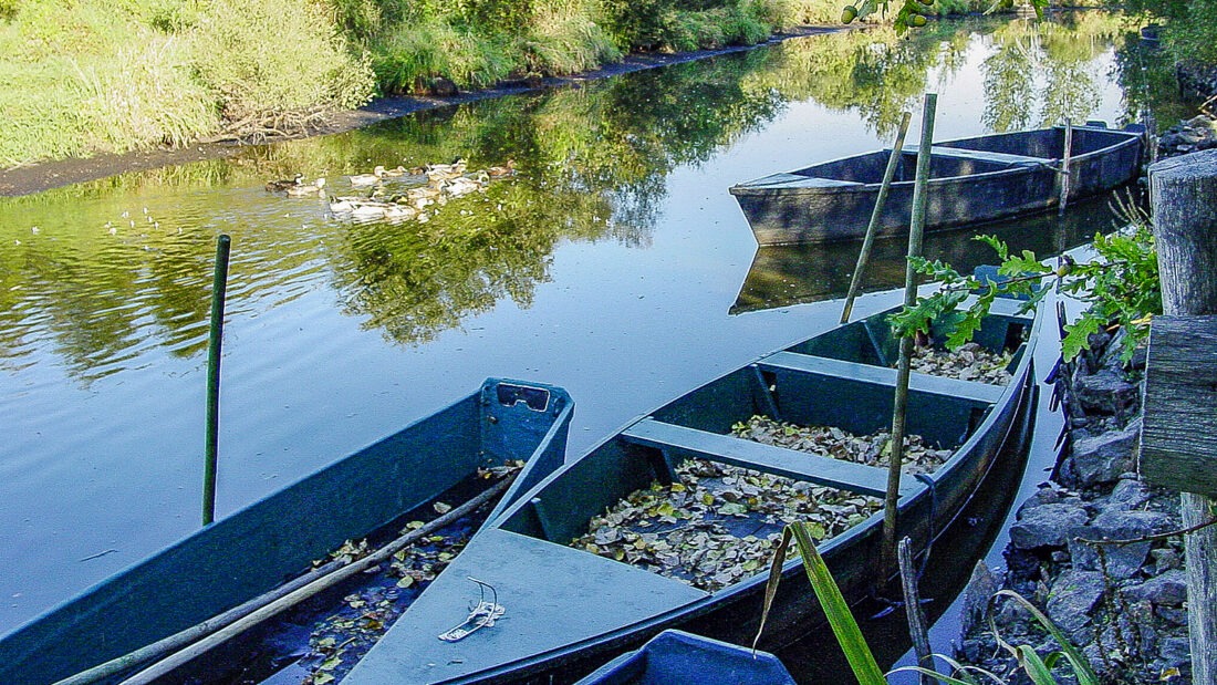 Der Anleger der Île de Fédrun in der Grande Brière. Foto: Hilke Maunder