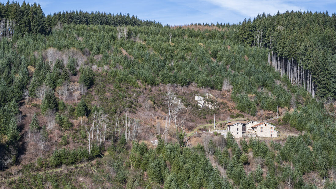 Im Haut-Forez des Livradois-Forez-Naturparks. Foto: Hilke Maunder