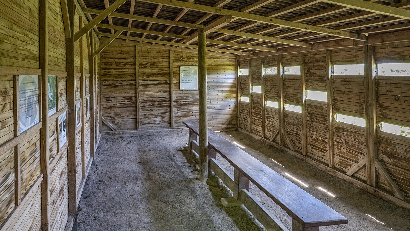 Der Beobachtungsstand der Maison de la Baie de la Somme.Foto: Hilke Maunder