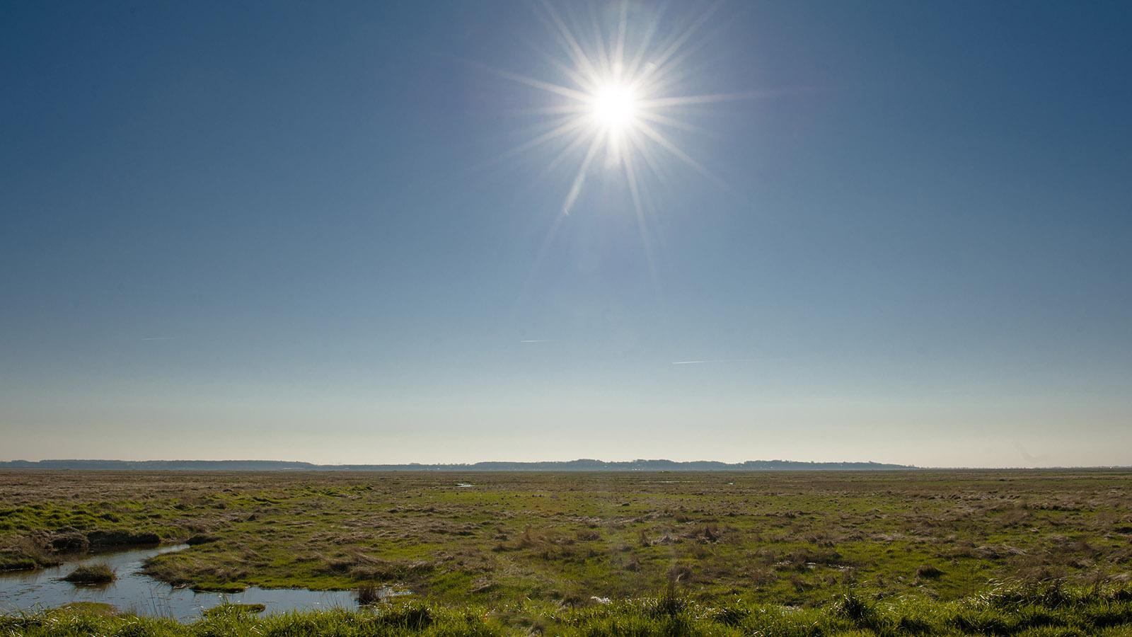 Maritime Urlandschaft: die Bucht der Somme ( Baie de Somme ). Foto: Hilke Maunder