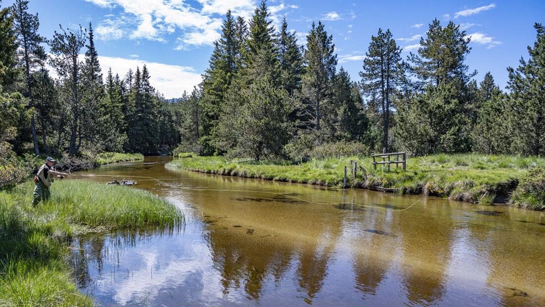 Am Oberlauf der Têt bei Pla de Barrès. Foto: Hilke Maunder