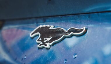 Ford zögert mit neuer Elektroplattform für Europa