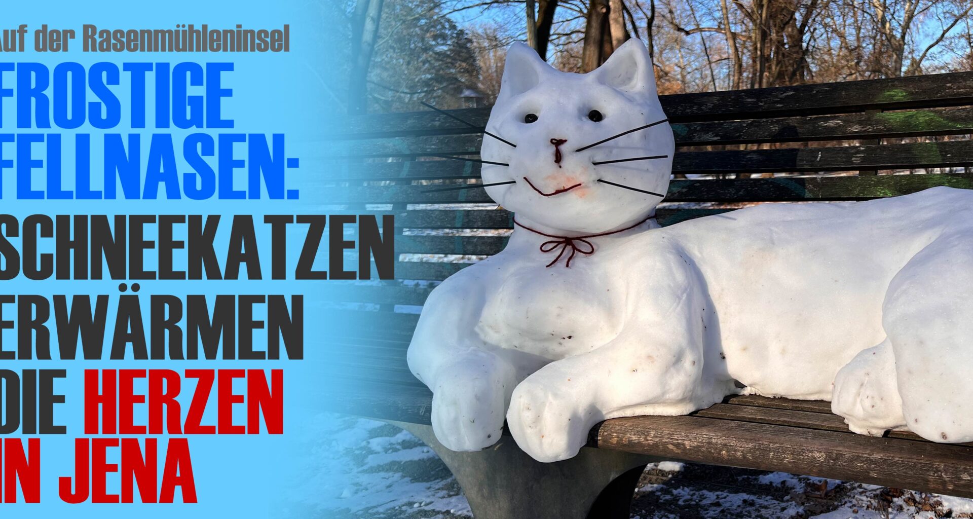Schneekatzen erwärmen die Herzen in Jena
