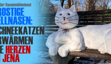 Schneekatzen erwärmen die Herzen in Jena