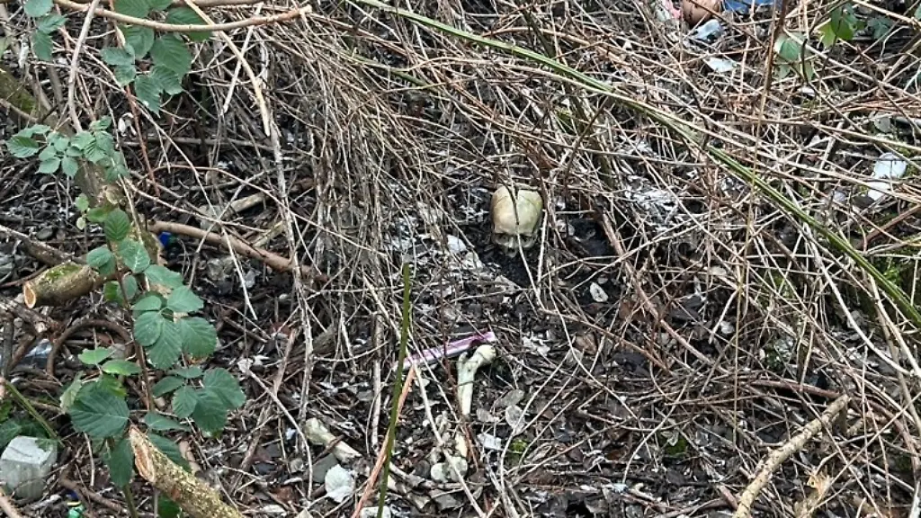 Fundstelle-der-menschlichen-Knochen