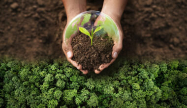 Lidl führt Nachhaltigkeitsvergleich europäischer Lebensmittelhändler an