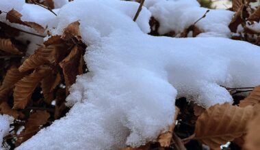 Hannover bleibt winterlich | Stadtreporter.de