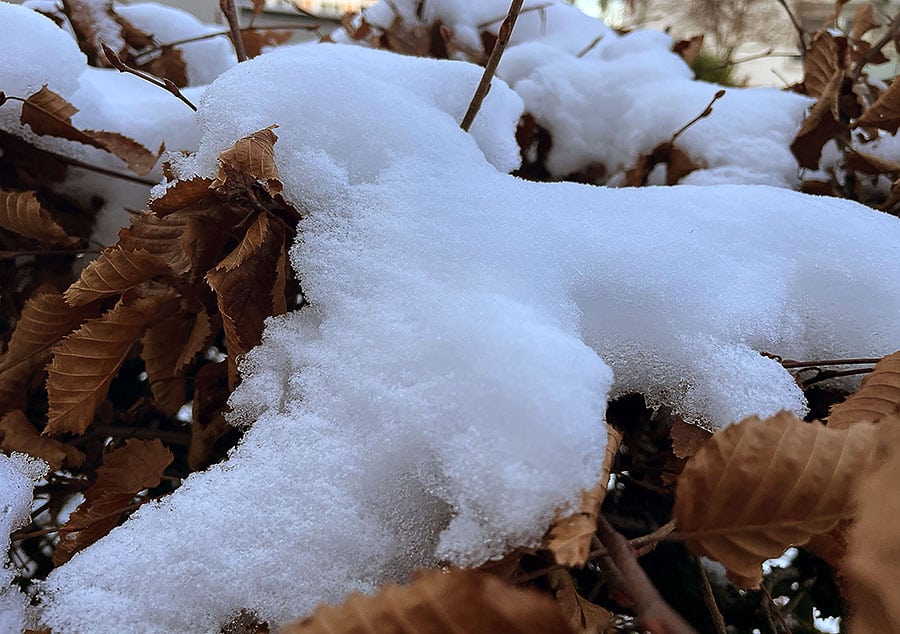 Hannover bleibt winterlich | Stadtreporter.de