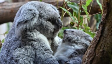 Namenssuche geht in die nächste Runde