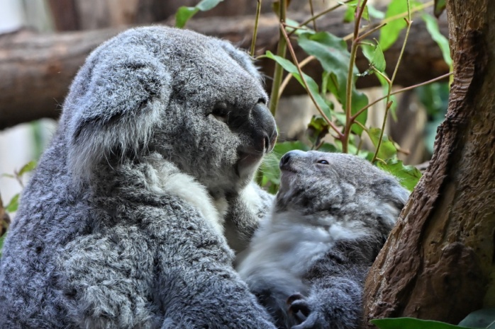 Namenssuche geht in die nächste Runde