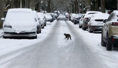 Berlin & Brandenburg: Minusgrade und Schneefall – Winterwetter hält weiter an