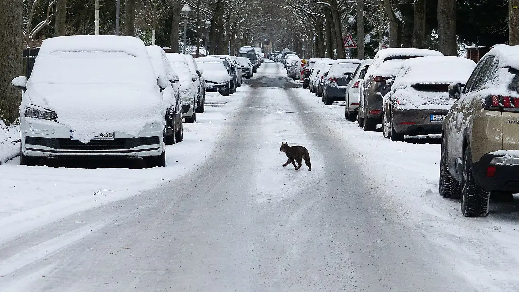In-Berlin-und-Brandenburg-bleibt-es-frostig-zum-Ende-der-Woche-sorgen-Schnee-und-Glaette-erneut-fuer-winterliche-Verhaeltnisse