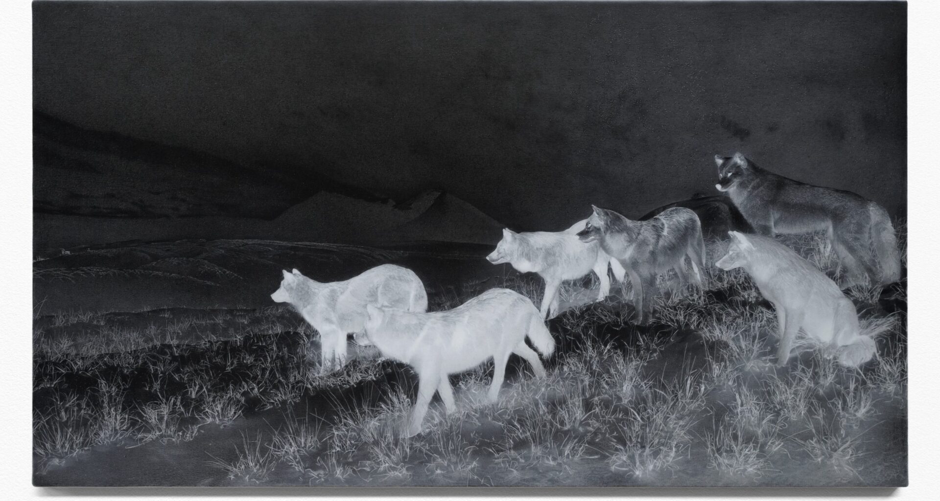 Jelena Bulajic in der Kunsthalle Münster: „Untitled (after)“