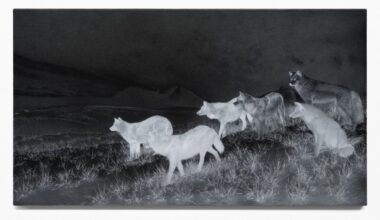 Jelena Bulajic in der Kunsthalle Münster: „Untitled (after)“