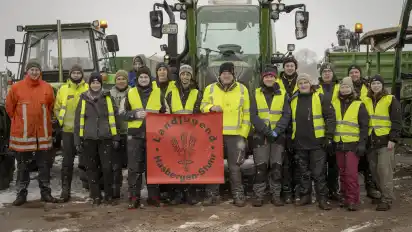 Die Landjugend Hasbergen-Stuhr sammelt traditionell die Weihnachtsbäume ein.