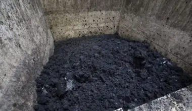 Bremer Forscher finden überraschende Symbiose in Kläranlagen