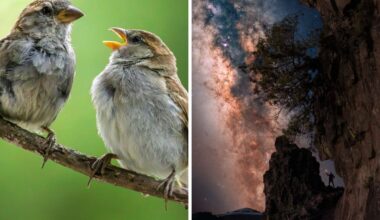 Das waren eure Fotos für Januar 2026