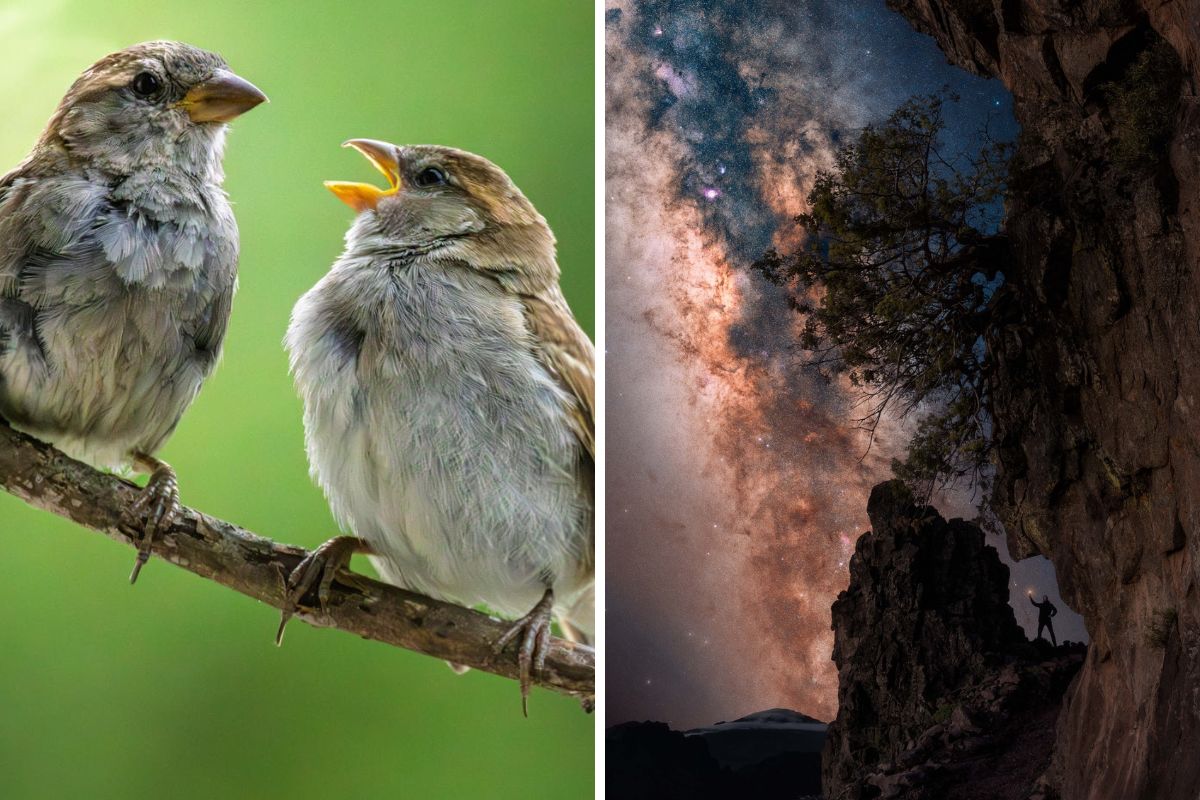 Das waren eure Fotos für Januar 2026