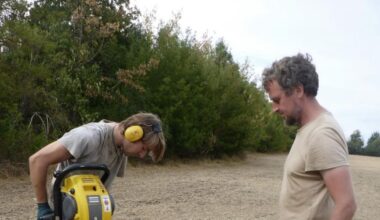 Sensationsfund in Erfurt: Leipziger Forscher entdecken Pest-Massengrab