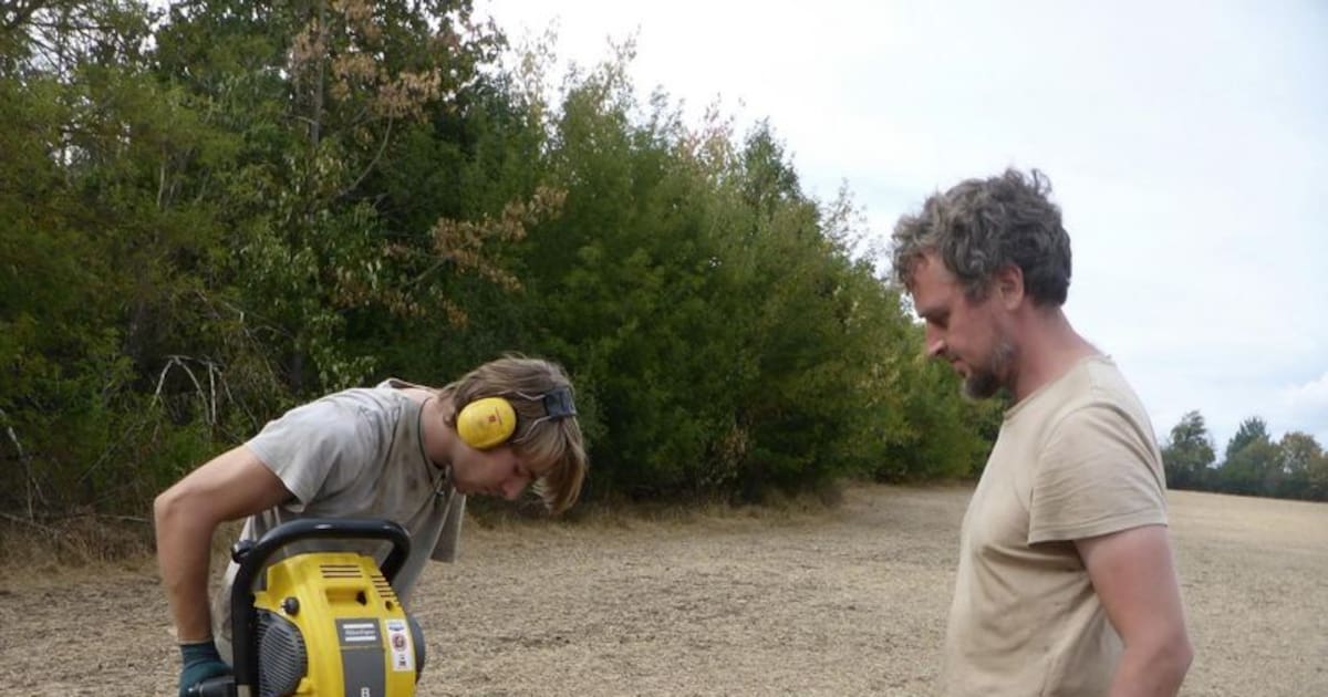 Sensationsfund in Erfurt: Leipziger Forscher entdecken Pest-Massengrab