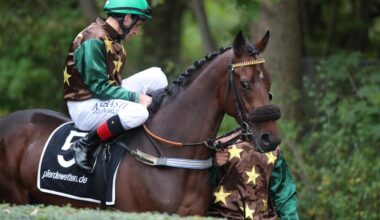Dortmund am Sonntag: Ein Schmankerl nach dem Nächsten