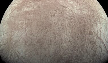 Eine detaillierte Aufnahme des Jupitermondes Europa, die seine eisige Oberfläche zeigt. Die Oberfläche ist von zahlreichen Rissen und Linien durchzogen, die auf geologische Aktivitäten hinweisen. Der Mond erscheint in einem hellen, beige-grauen Farbton vor einem schwarzen Hintergrund des Weltraums.