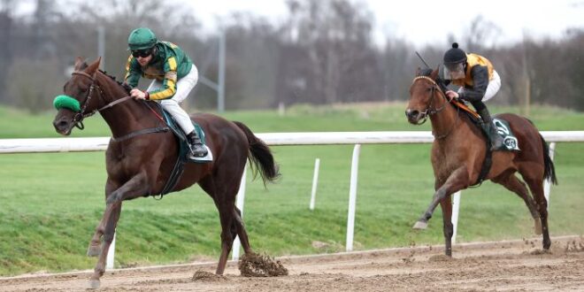 Bleibt Grewes Quick and Wild auf Siegkurs? – MSPW – Media Sportservice