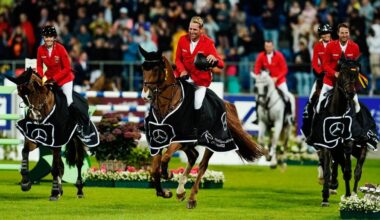 Die Suche nach einem Ersatzturnier für den Nationenpreis scheiterte auch aufgrund der kurzen Vorbereitungszeit und der aktuell wirtschaftlich herausfordernden Rahmenbedingungen.