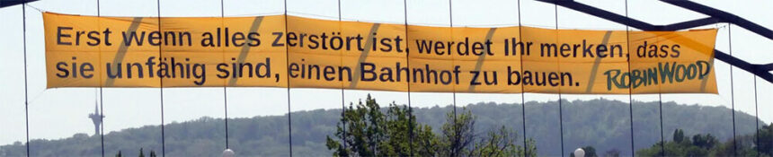 Robin wood transparent s21