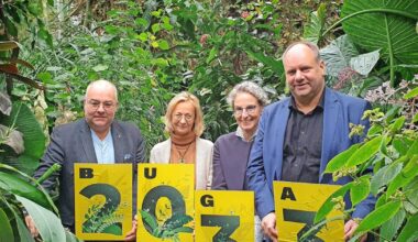 Bundesgartenschau in Dresden: Ist das Geldverschwendung?