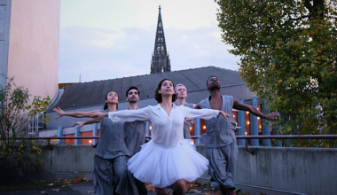 Tanzabend DIE SCHWÄNE am Theater Münster -