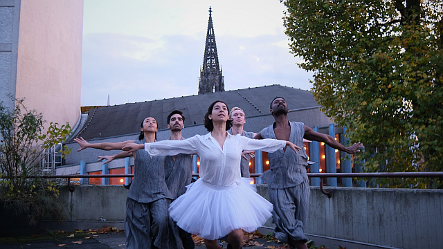 Tanzabend DIE SCHWÄNE am Theater Münster -