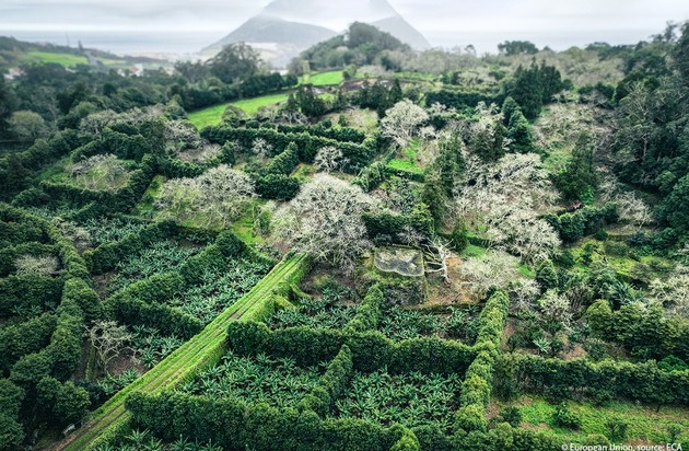 (Pressemitteilung) Europäischer Rechnungshof: Agrarförderung für Übersee-Regionen ...