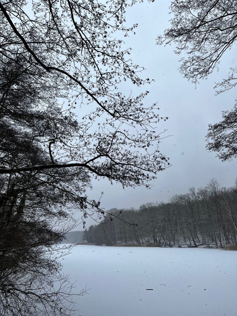 Berlin Blackout: Kein Strom, keine Heizung, kein Internet 2 Schnee