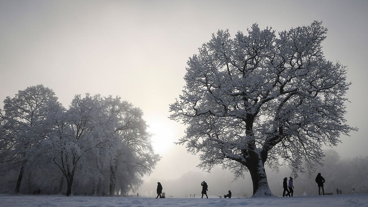 Hamburg & Schleswig-Holstein: Winter hält Hamburg und Schleswig-Holstein fest im Griff